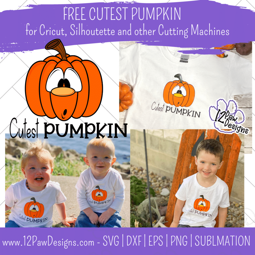 Cutest Pumpkin, Pumpkin, Funny Pumpkin, Cricut Silhouette, Svg/Dxf/Png/Eps, Digital Download, Cut File
