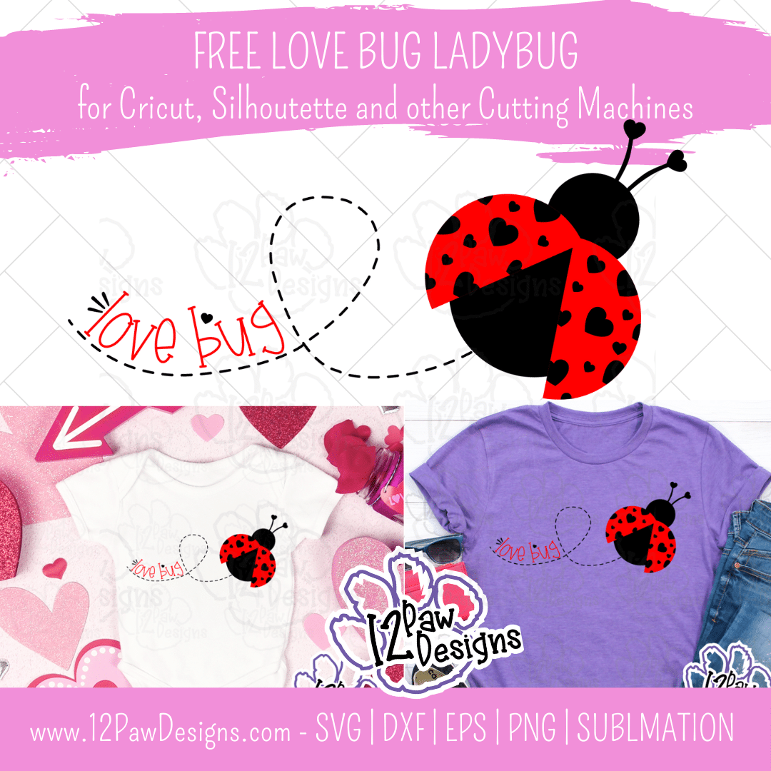 Everyone Loves a Love Bug