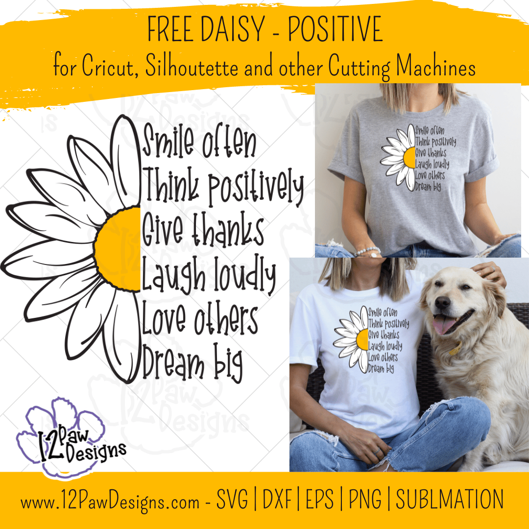 The Beauty of the Daisy and the Positivity it Brings