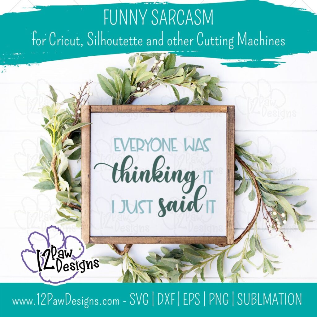 Funny Sarcastic Quotes, Funny Sarcasm, Fun Fact I Don'T Care, Everyone Was Thinking It I Just Said It , Funny Svg, Cricut, Silhouette, Sublimation, Svg, Png, Digital Download, Cut File
