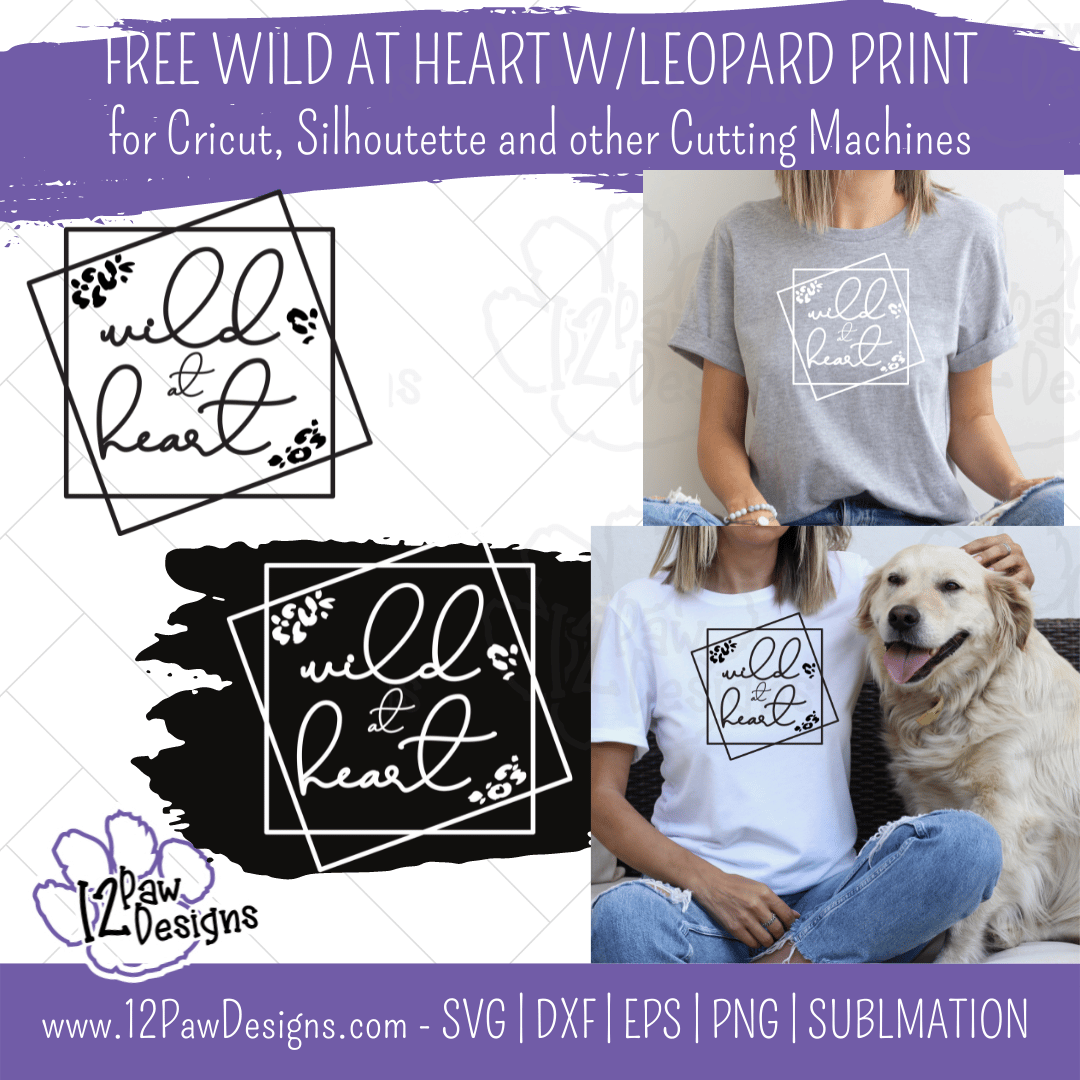 When you are Wild at Heart and you have Summer Vibes you need to go Road Trippin’