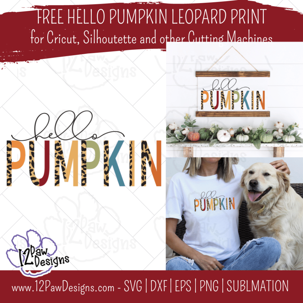 Hello Pumpkin, Hello Pumpkin Leopard, Leopard Print Pumpkin, Cricut Silhouette, Svg/Dxf/Png/Eps, Digital Download, Cut File