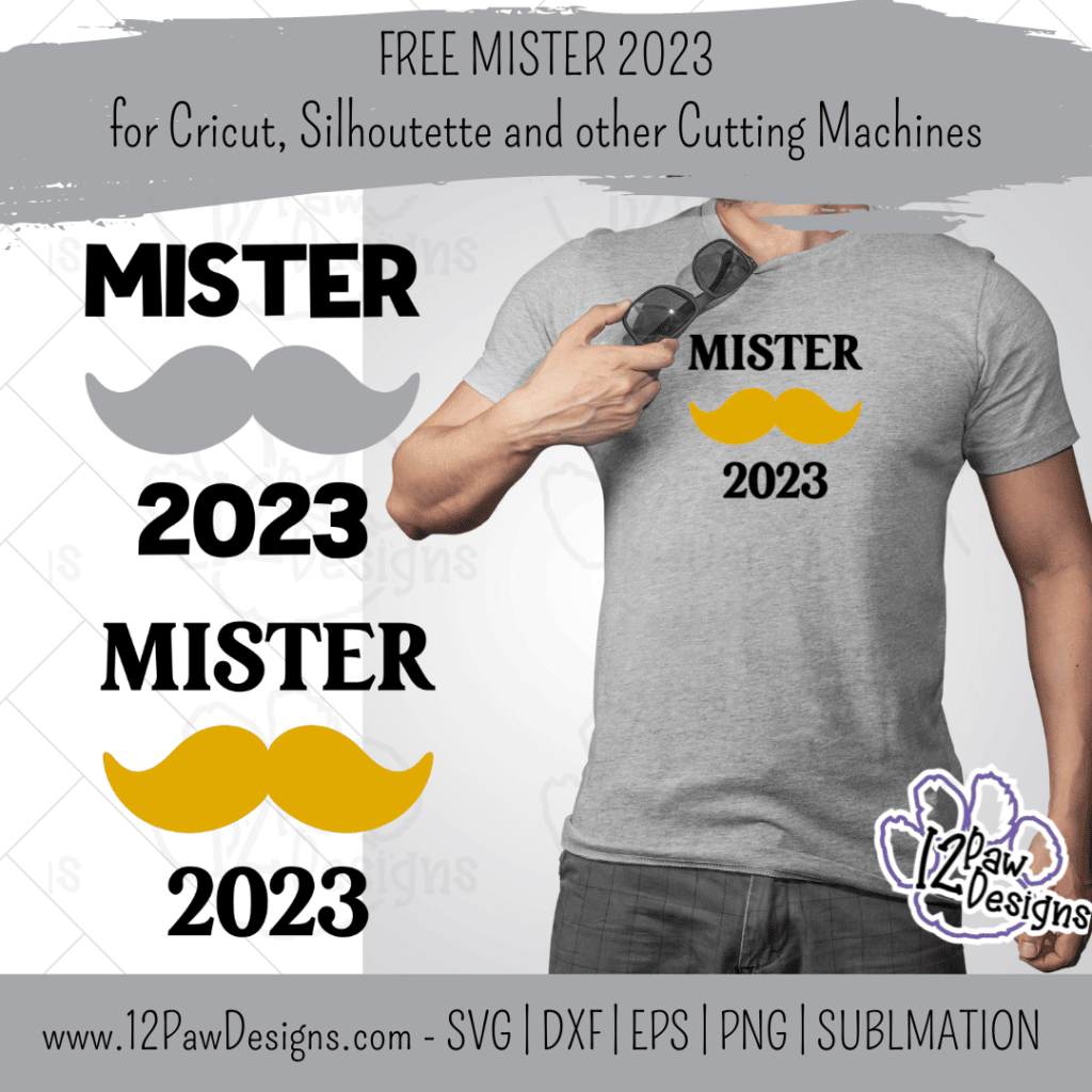 Mister 2023, Happy New Year Shirt, Mister New Year, Mr New Year 2023, Cricut, Silhouette, Svg/Png/Dxf/Eps/Sublimation, Digital Download, Cut File