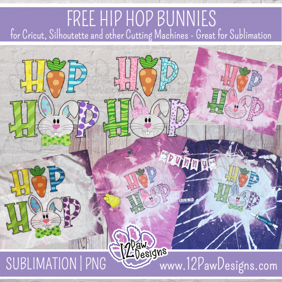Hip Hop Bunnies